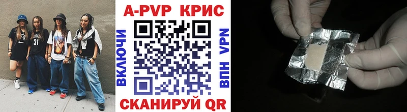 Альфа ПВП СК КРИС  Армавир 
