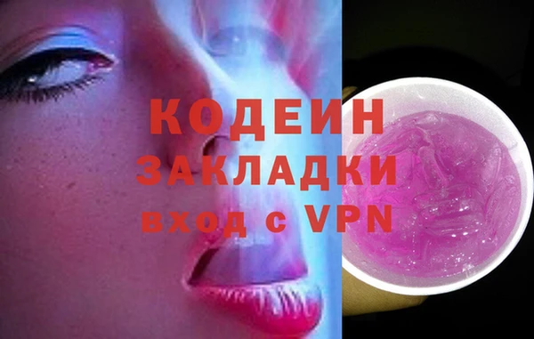 крисы Кодинск