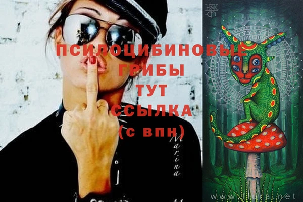 крисы Кодинск