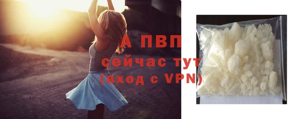 МДПВ Козельск