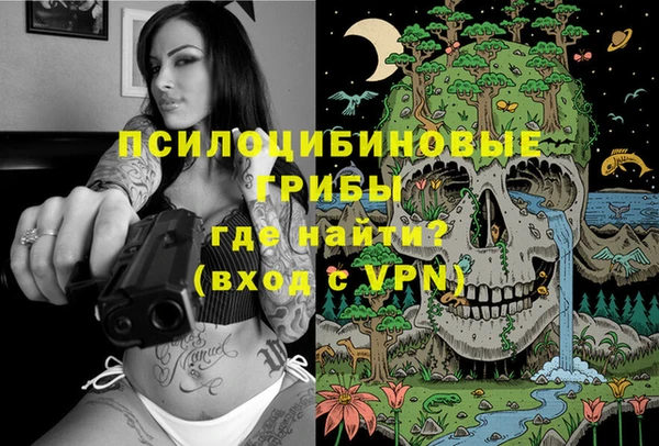 МДПВ Козельск