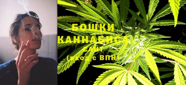 МДПВ Козельск