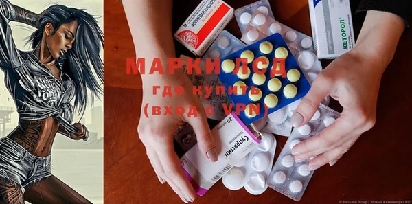 крисы Кодинск