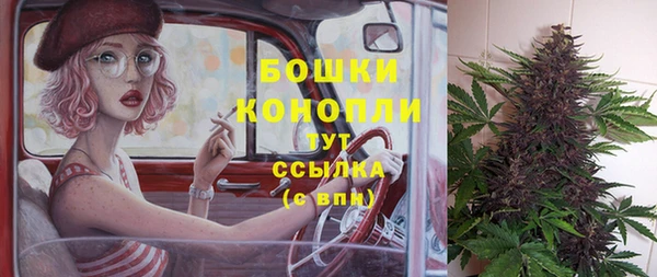 МДПВ Козельск