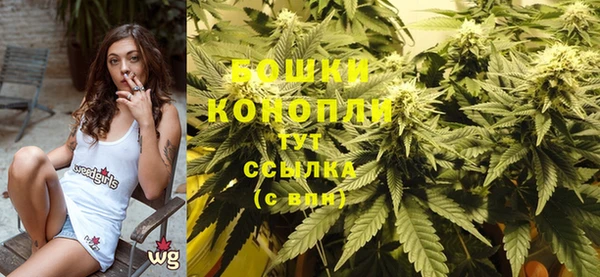 МДПВ Козельск