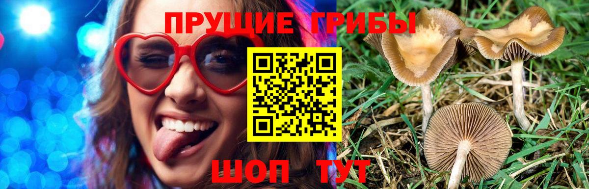 Галлюциногенные грибы мухоморы  Вход с VPN  Армавир 
